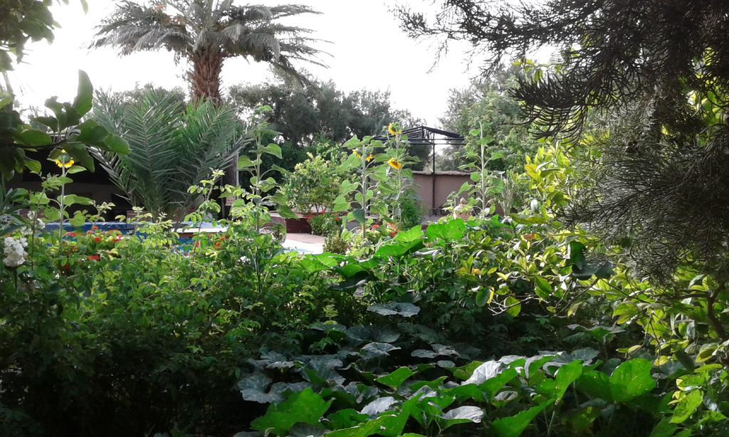 Bassatine Skoura Exterior foto
